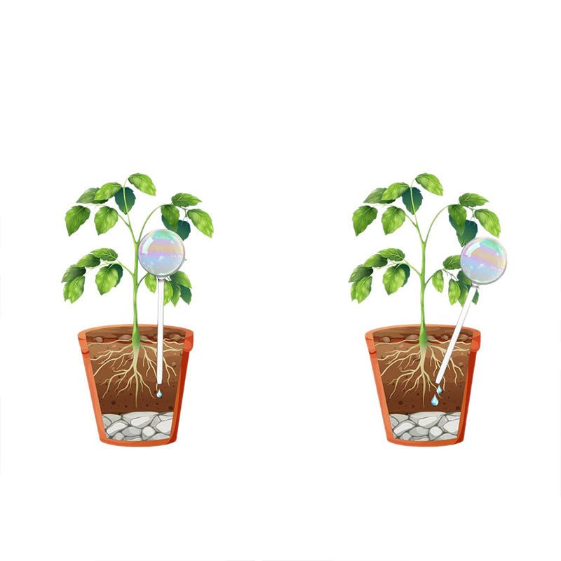 2 Pack Glass Plant Watering Globes - Yorkn Inc✅