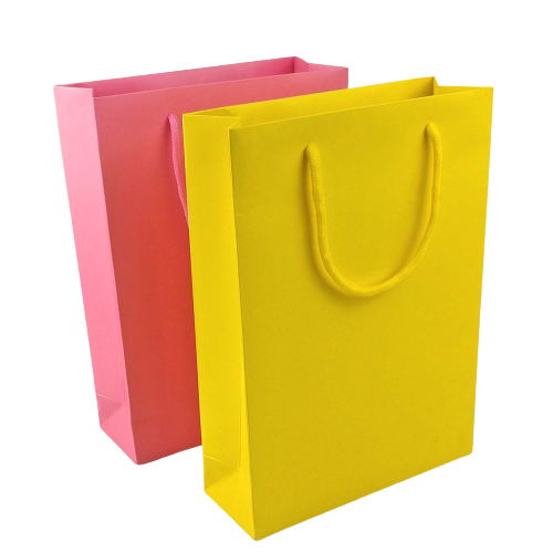 Color Paper Bag - Yorkn Inc✅