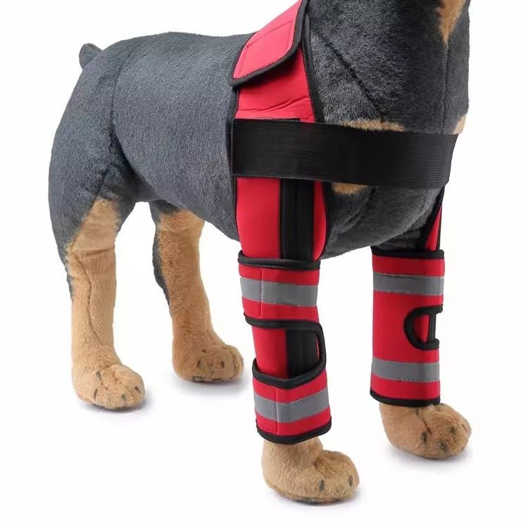 Dog Double Knee Brace - Yorkn Inc✅