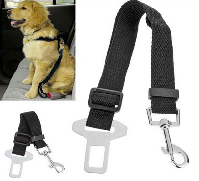 Dog Leash For Cars - Yorkn Inc✅