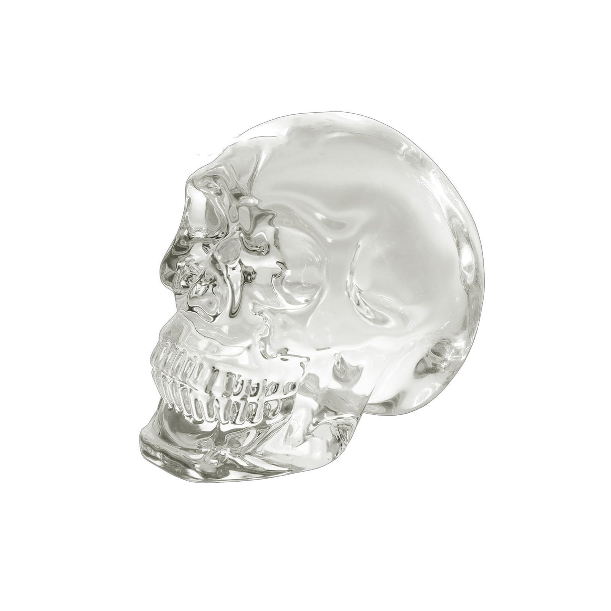 Glass Skull Figurine Ornament - Yorkn Inc✅