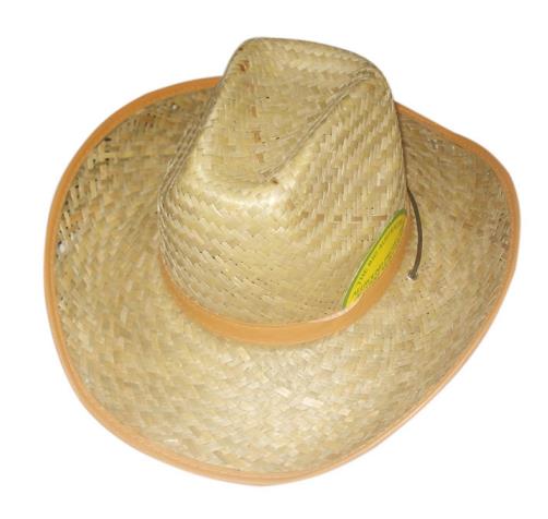 Men Straw Cowboy Hats - Yorkn Inc✅