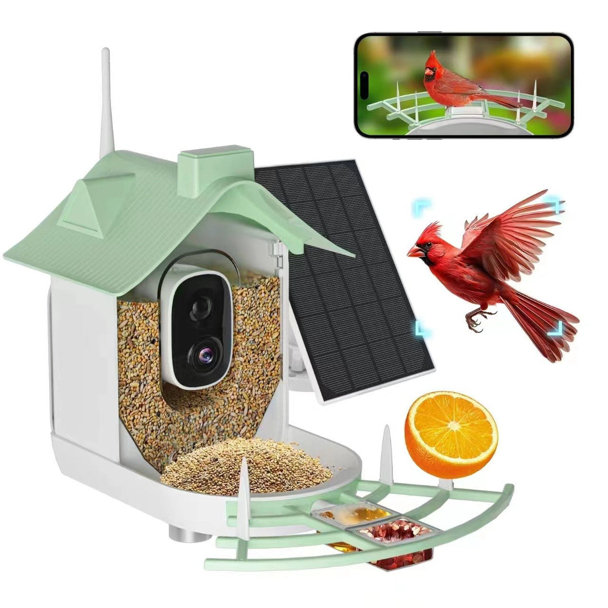 Outdoor Hanging Bird Feeder - Yorkn Inc✅