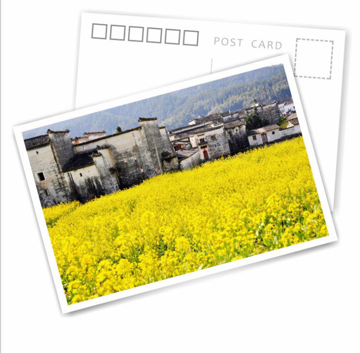 Paper Post Card - Yorkn Inc✅