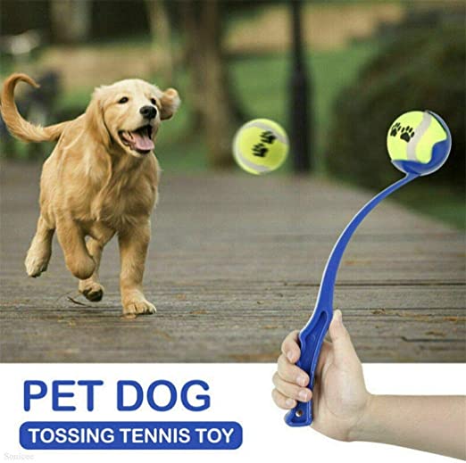 Pet Ball Launcher - Yorkn Inc✅