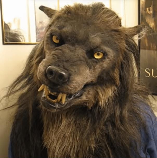 Plush Animal Mask - Yorkn Inc✅