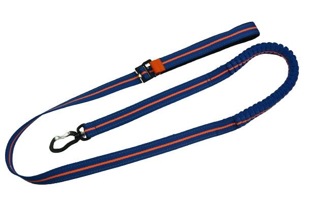 Reflective Leash - Yorkn Inc✅