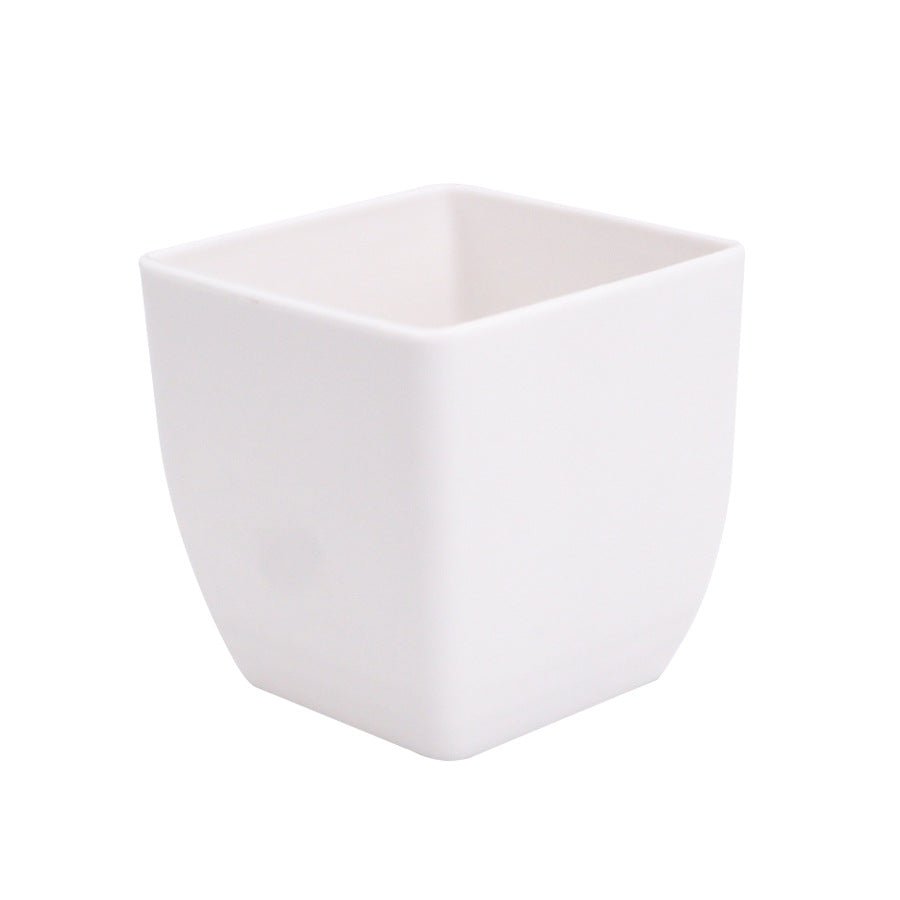 Succulent Plant Small Flowerpot - Yorkn Inc✅