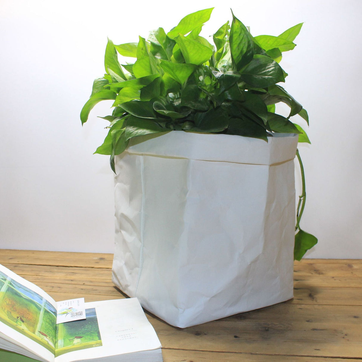 Washable Kraft Paper Bag - Yorkn Inc✅