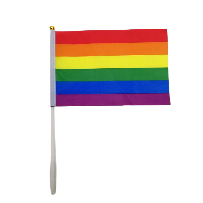 14x21cm Rainbow Flag - Yorkn Inc✅