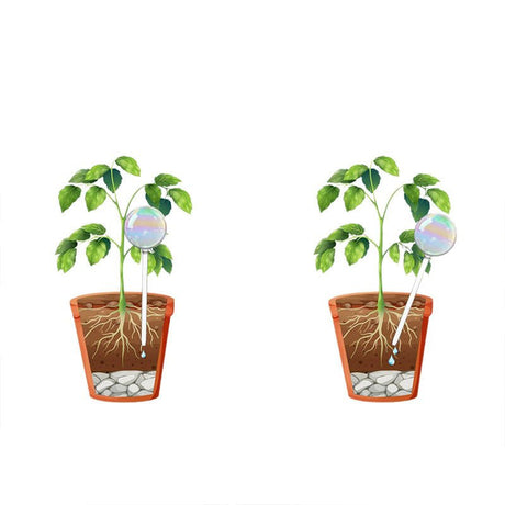 2 Pack Glass Plant Watering Globes - Yorkn Inc✅
