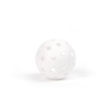 40 Holes Golf Training Pickleball - Yorkn Inc✅