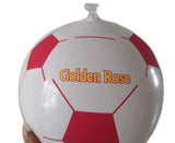 48 - inch Fun Beach Pvc Inflatable Ball - Yorkn Inc✅
