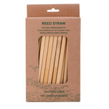 50pcs Disposable Straws - Yorkn Inc✅