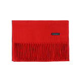 Women Imitation Cashmere Scarf