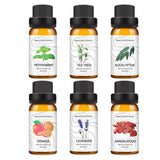 6 Pcs Essential Oils Set - Yorkn Inc✅