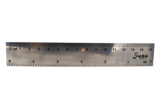 6" Stainless Steel Ruler - Yorkn Inc✅