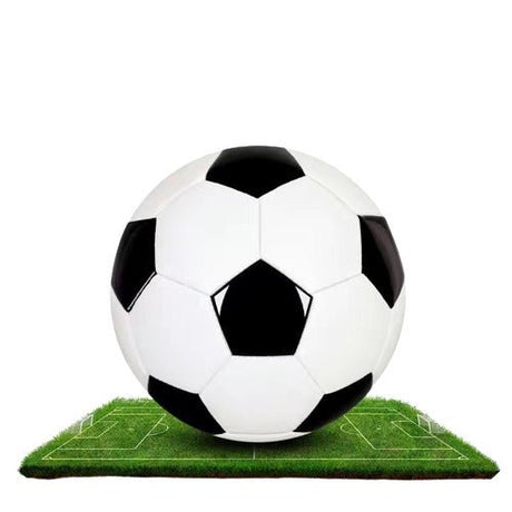 7" 2 - toned Foam Football - Yorkn Inc✅