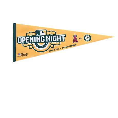 9x6 Inch Pennant With Wooden Stick - Yorkn Inc✅