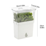Acrylic Herb Storage Keeper Container - Yorkn Inc✅