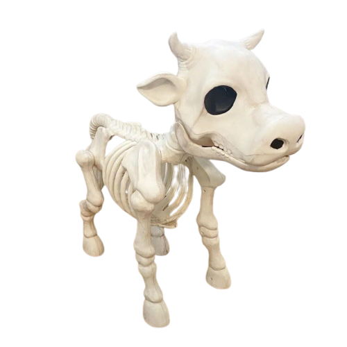 Animal Skeleton - Yorkn Inc✅