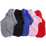 Autumn And Winter Pet Clothing - Yorkn Inc✅