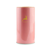 Candy Color Cylinder Piggy Bank - Yorkn Inc✅