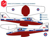 Custom Airplane - Yorkn Inc✅