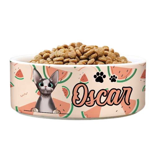 Custom Cat Bowl - Yorkn Inc✅