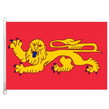 Custom Nylon Large Flag - Yorkn Inc✅