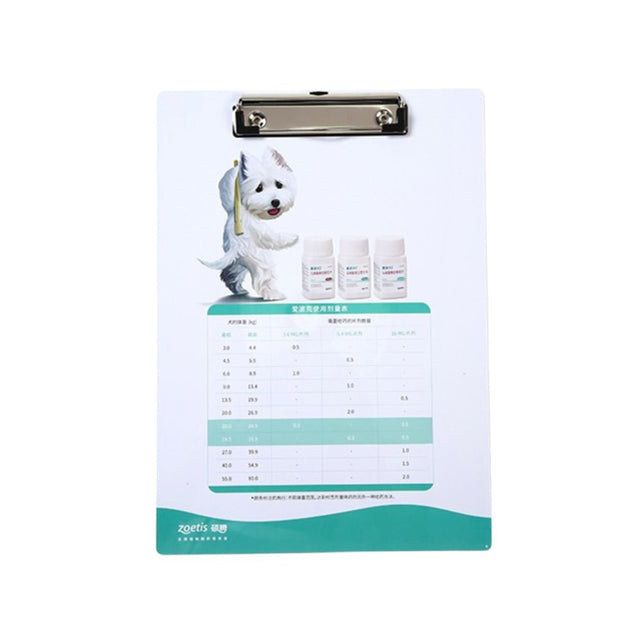 Custom Pvc Plastic Writing Folder - Yorkn Inc✅