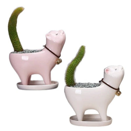 Cute Cat Succulent Plant Pot With Tray - Yorkn Inc✅