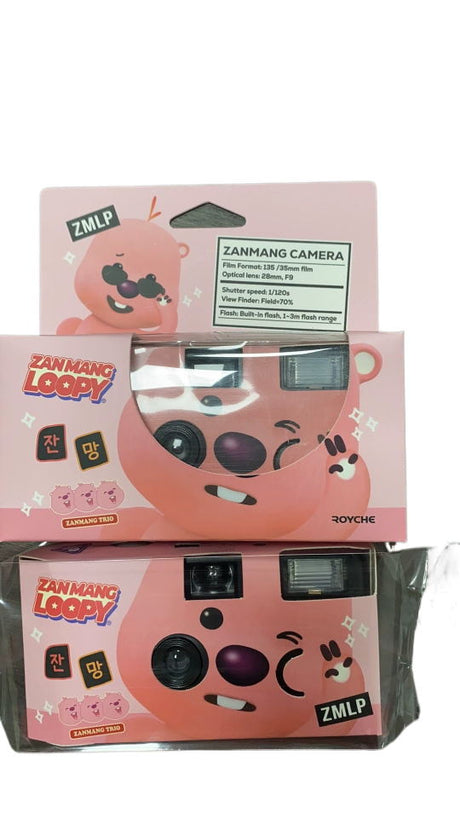 Disposable Cardboard Camera With Film - Yorkn Inc✅