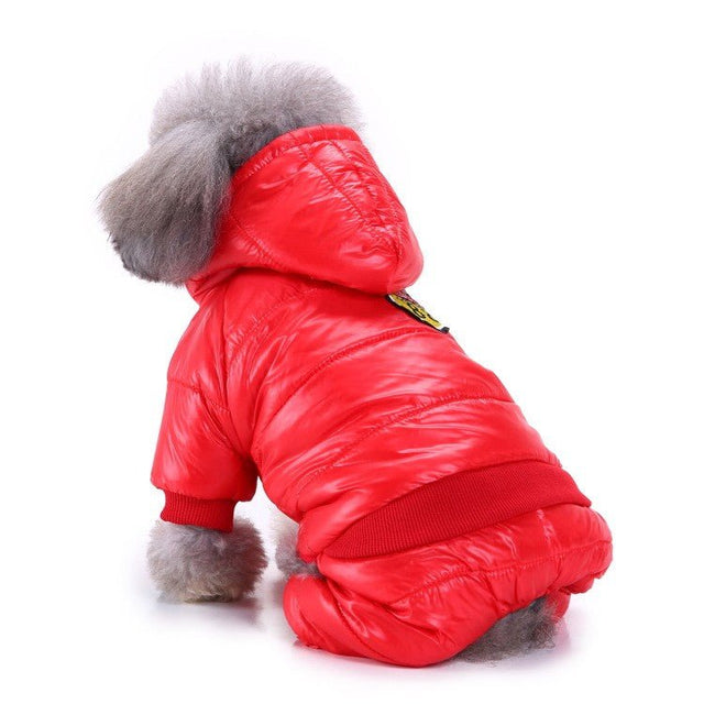 Dog Cold - proof Coat - Yorkn Inc✅