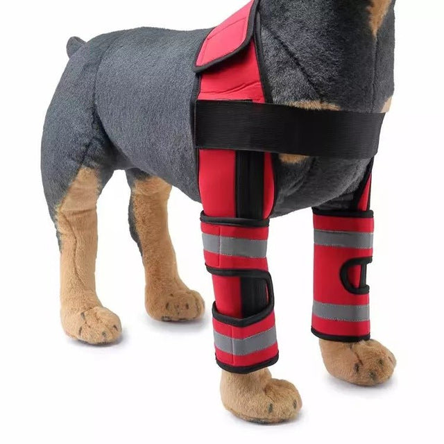 Dog Double Knee Brace - Yorkn Inc✅