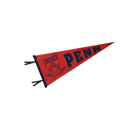 Felt Pennant Flag - Yorkn Inc✅