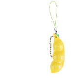 Fidget Pea Pod - Yorkn Inc✅