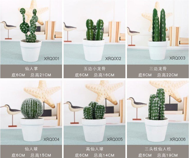 Foam Cactus - Yorkn Inc✅