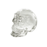 Glass Skull Figurine Ornament - Yorkn Inc✅