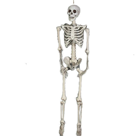 Halloween Skeleton - Yorkn Inc✅