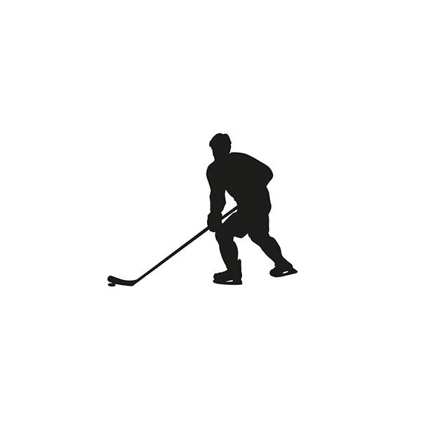 Ice Hockey Puck - Yorkn Inc✅
