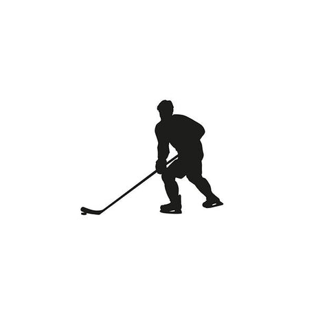 Ice Hockey Puck - Yorkn Inc✅