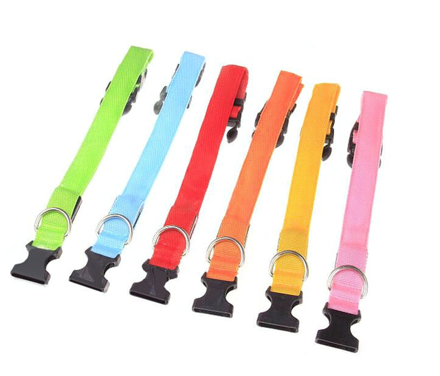 Led Dog Collar - Yorkn Inc✅