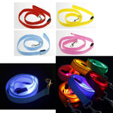 Led Dog Leash - Yorkn Inc✅