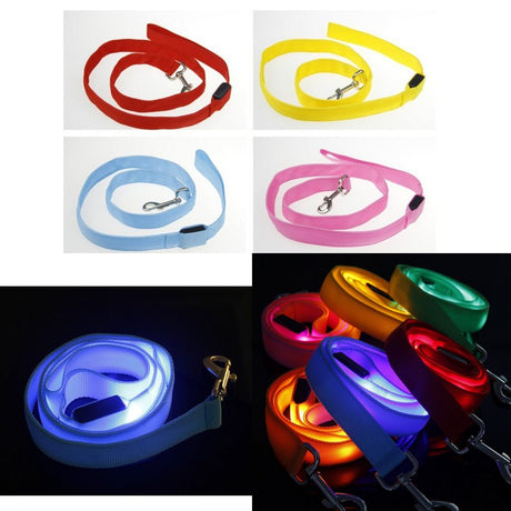 Led Dog Leash - Yorkn Inc✅