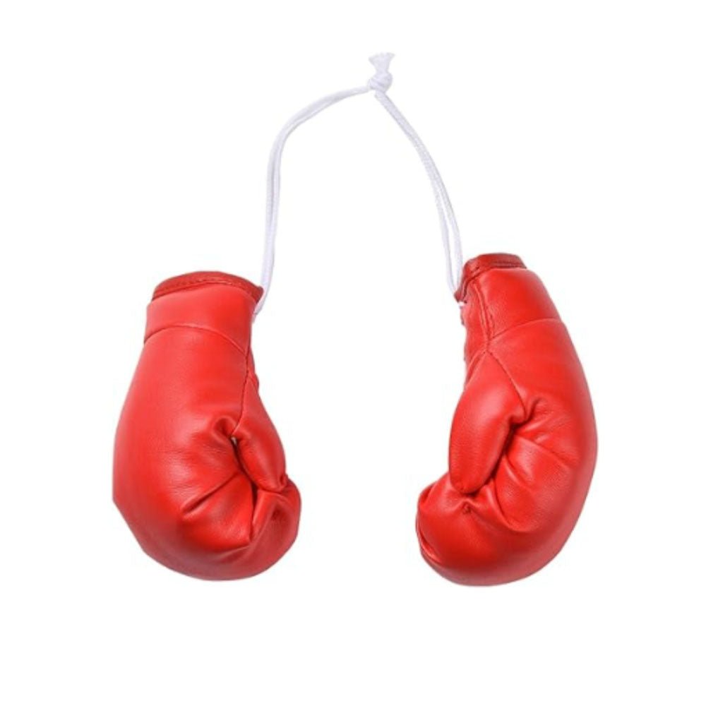 Mini Boxing Gloves - Yorkn Inc✅