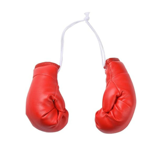 Mini Boxing Gloves - Yorkn Inc✅