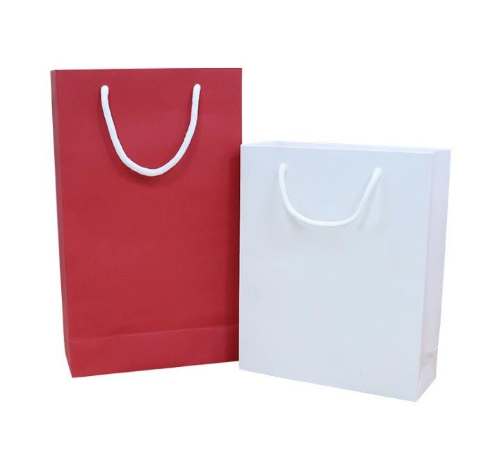 Paper Gift Bag Carrier - Yorkn Inc✅