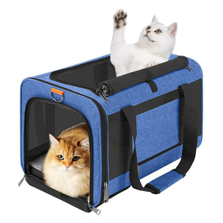 Pet Carrier For Small - Yorkn Inc✅