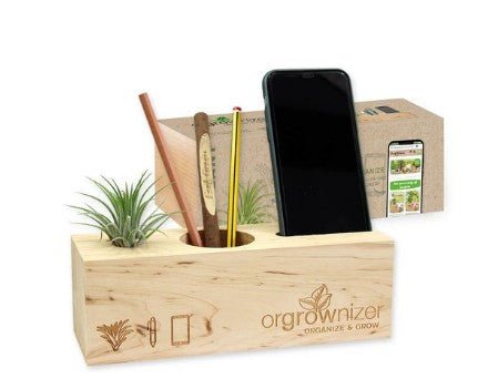 Plant Pen And Phone Organizer - Yorkn Inc✅